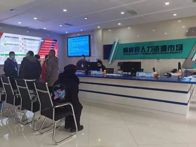 桐梓縣 以專業咨詢服務為引擎，筑牢“穩就業”“保就業”基石，驅動經濟社會高質量發展